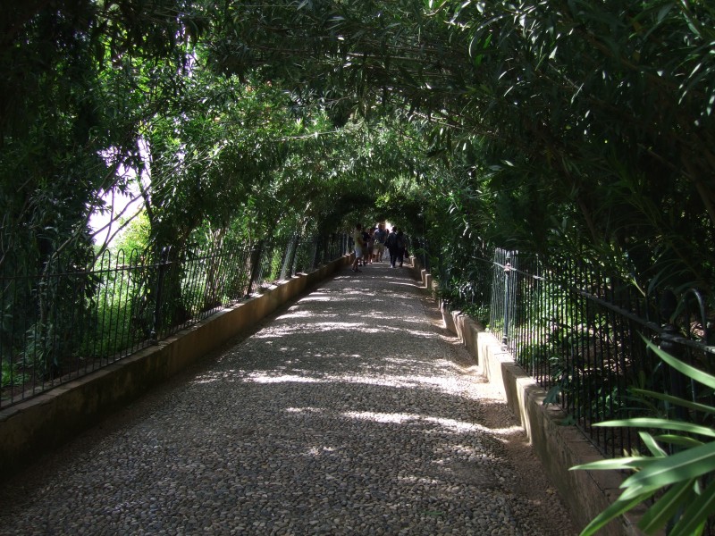 Anadalusien 2009 - 0826 